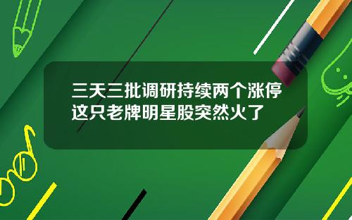 三天三批调研持续两个涨停这只老牌明星股突然火了