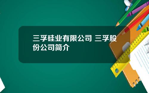 三孚硅业有限公司 三孚股份公司简介