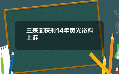 三宗罪获刑14年黄光裕料上诉