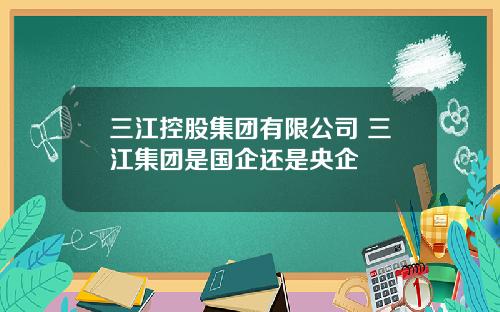 三江控股集团有限公司 三江集团是国企还是央企