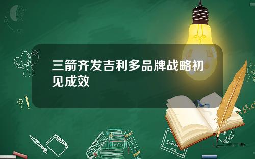三箭齐发吉利多品牌战略初见成效