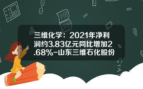三维化学：2021年净利润约3.83亿元同比增加2.68%-山东三维石化股份有限公司