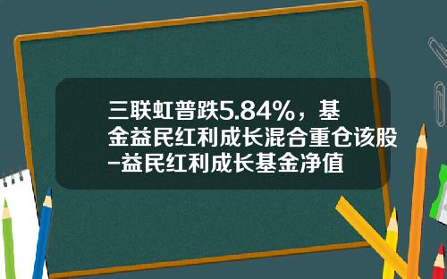 三联虹普跌5.84%，基金益民红利成长混合重仓该股-益民红利成长基金净值