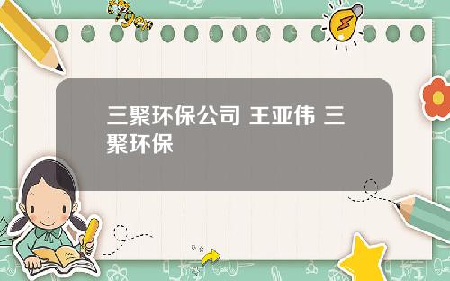 三聚环保公司 王亚伟 三聚环保