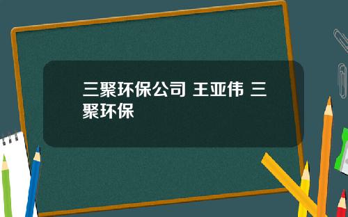 三聚环保公司 王亚伟 三聚环保