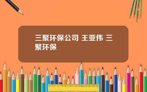 三聚环保公司 王亚伟 三聚环保