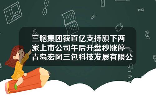 三胞集团获百亿支持旗下两家上市公司午后开盘秒涨停-青岛宏图三包科技发展有限公司