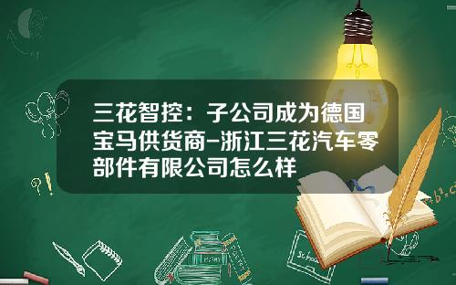 三花智控：子公司成为德国宝马供货商-浙江三花汽车零部件有限公司怎么样