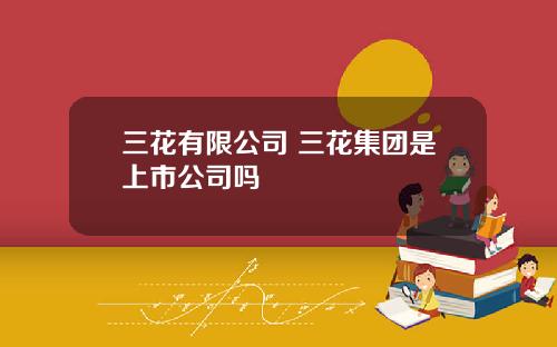三花有限公司 三花集团是上市公司吗