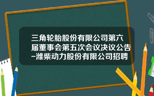 三角轮胎股份有限公司第六届董事会第五次会议决议公告-潍柴动力股份有限公司招聘会计