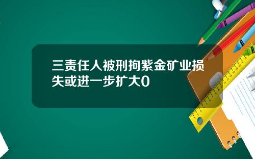 三责任人被刑拘紫金矿业损失或进一步扩大0