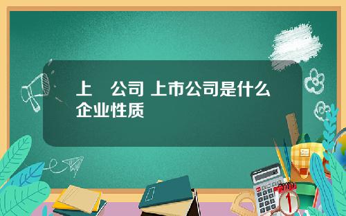 上巿公司 上市公司是什么企业性质