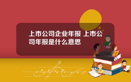 上市公司企业年报 上市公司年报是什么意思