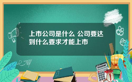 上市公司是什么 公司要达到什么要求才能上市