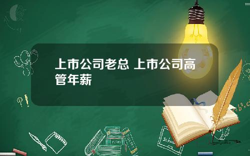 上市公司老总 上市公司高管年薪