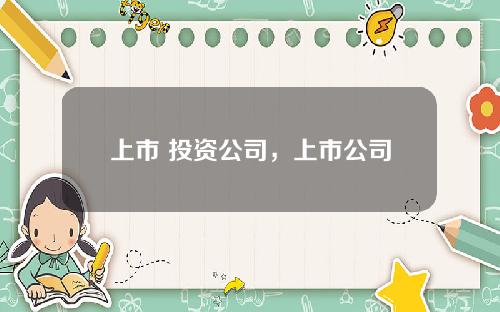 上市 投资公司，上市公司