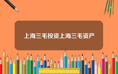 上海三毛投资上海三毛资产