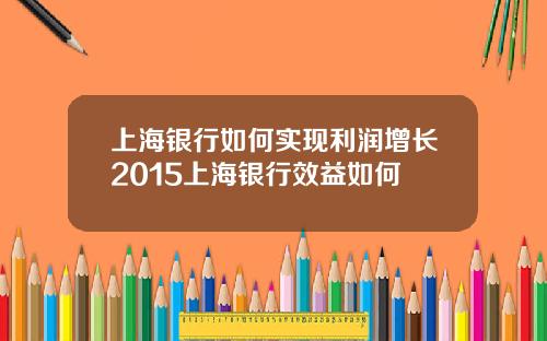 上海银行如何实现利润增长2015上海银行效益如何
