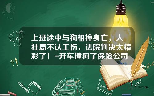 上班途中与狗相撞身亡，人社局不认工伤，法院判决太精彩了！-开车撞狗了保险公司赔吗