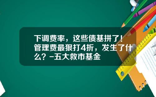 下调费率，这些债基拼了！管理费最狠打4折，发生了什么？-五大救市基金