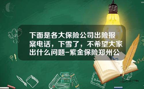 下面是各大保险公司出险报案电话，下雪了，不希望大家出什么问题-紫金保险郑州公司地址