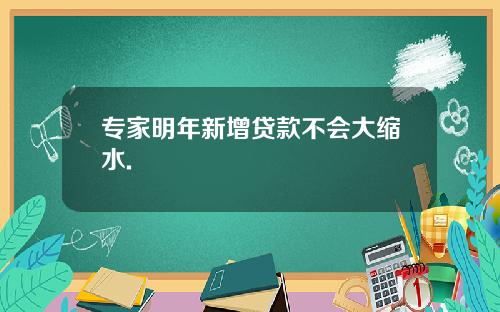 专家明年新增贷款不会大缩水.