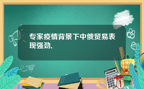 专家疫情背景下中俄贸易表现强劲.