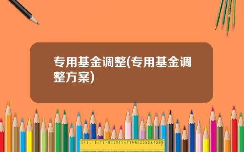专用基金调整(专用基金调整方案)