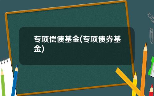 专项偿债基金(专项债券基金)