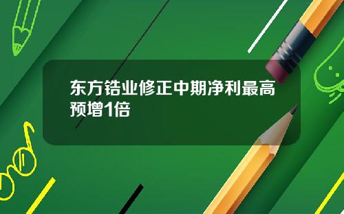 东方锆业修正中期净利最高预增1倍