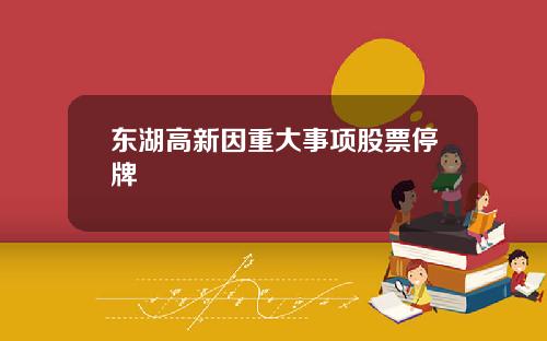 东湖高新因重大事项股票停牌