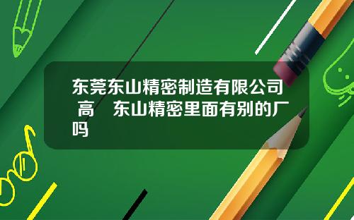 东莞东山精密制造有限公司 高埗东山精密里面有别的厂吗