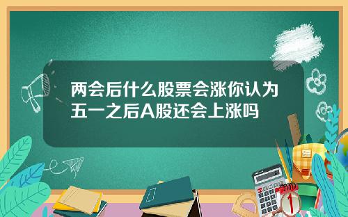 两会后什么股票会涨你认为五一之后A股还会上涨吗