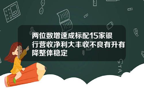两位数增速成标配15家银行营收净利大丰收不良有升有降整体稳定