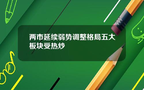 两市延续弱势调整格局五大板块受热炒