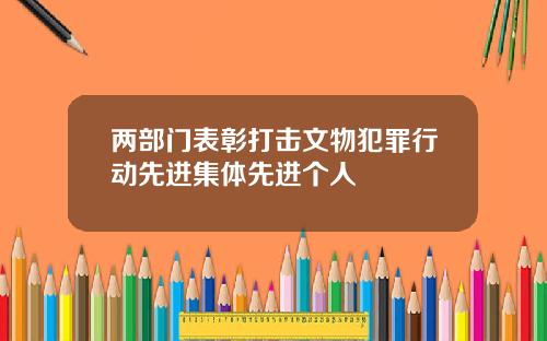 两部门表彰打击文物犯罪行动先进集体先进个人