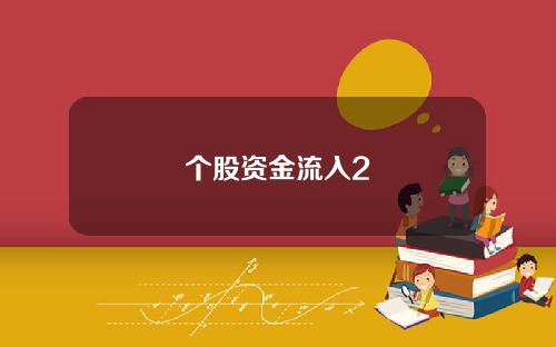 个股资金流入2