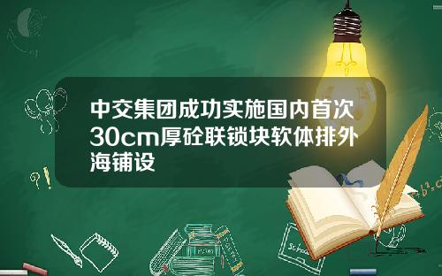 中交集团成功实施国内首次30cm厚砼联锁块软体排外海铺设
