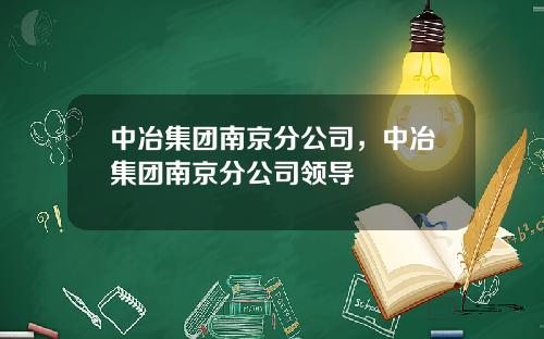 中冶集团南京分公司，中冶集团南京分公司领导