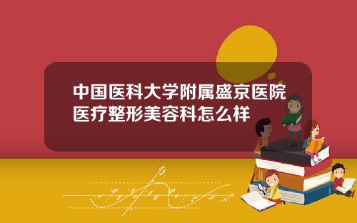 中国医科大学附属盛京医院医疗整形美容科怎么样