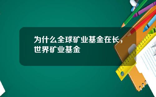 为什么全球矿业基金在长，世界矿业基金