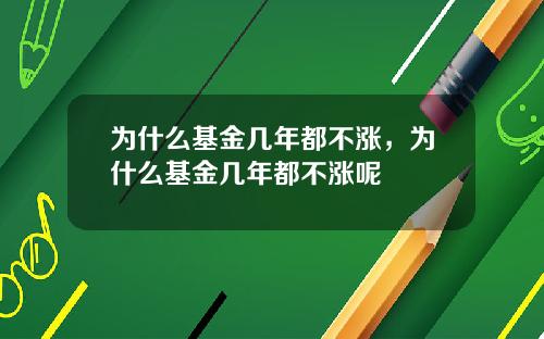 为什么基金几年都不涨，为什么基金几年都不涨呢