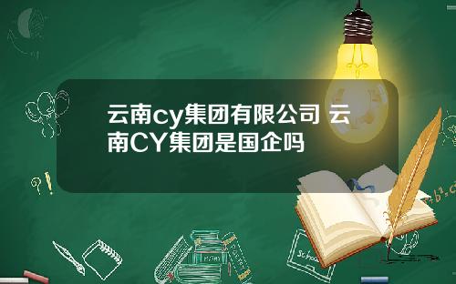 云南cy集团有限公司 云南CY集团是国企吗