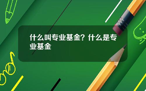 什么叫专业基金？什么是专业基金