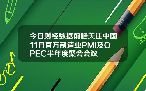 今日财经数据前瞻关注中国11月官方制造业PMI及OPEC半年度聚会会议