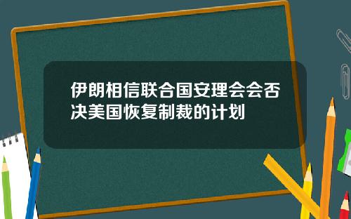 伊朗相信联合国安理会会否决美国恢复制裁的计划