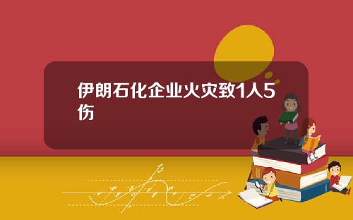 伊朗石化企业火灾致1人5伤