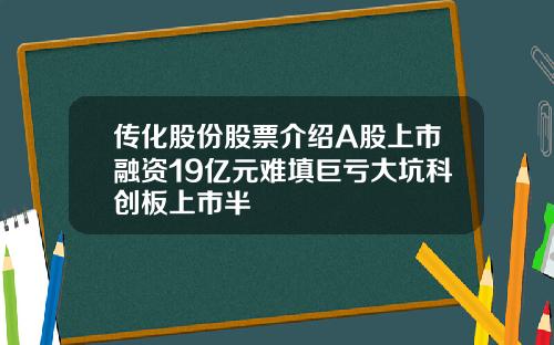 传化股份股票介绍A股上市融资19亿元难填巨亏大坑科创板上市半