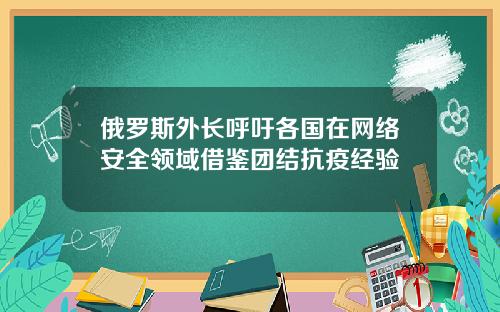俄罗斯外长呼吁各国在网络安全领域借鉴团结抗疫经验