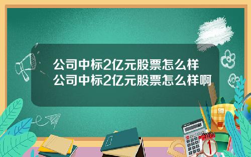 公司中标2亿元股票怎么样公司中标2亿元股票怎么样啊